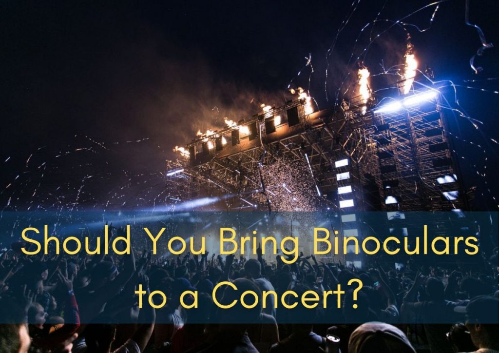 Should You Bring Binoculars to a Concert? What You Should Know
